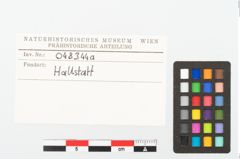 Etikett zu Eisenösenzwinge (NHMW-PRAE-048344a)